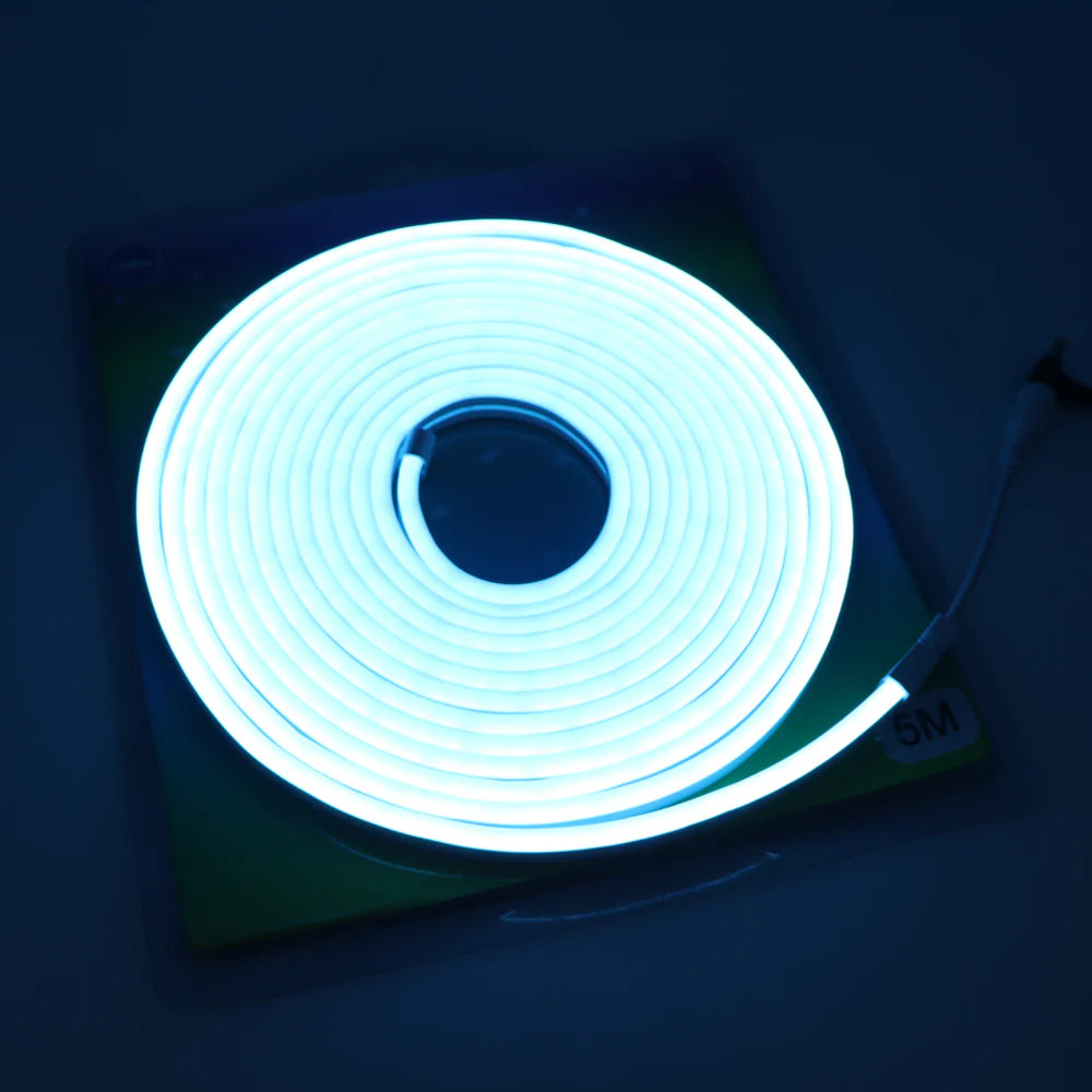 12V 5M Neon Flexible LED Strip Light