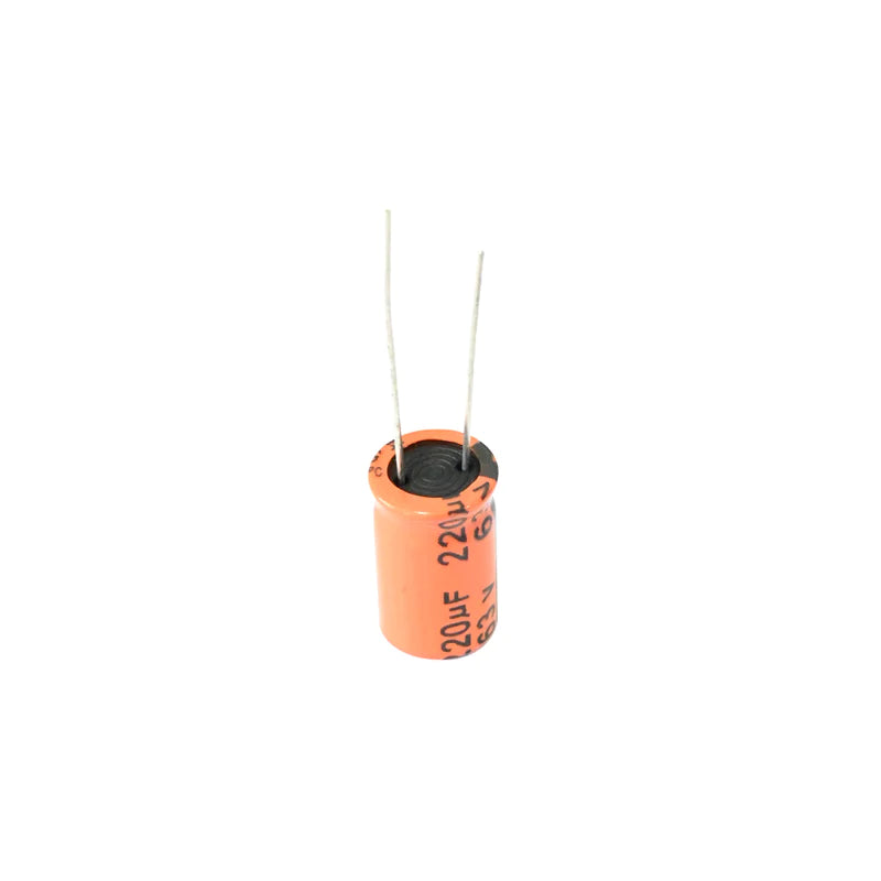 Leone 220µF 63V Electrolytic Capacitor