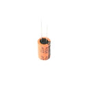 Leone 22uF 450V Electrolytic Capacitor