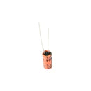 Leone 47UF 25V Electrolytic Capacitor