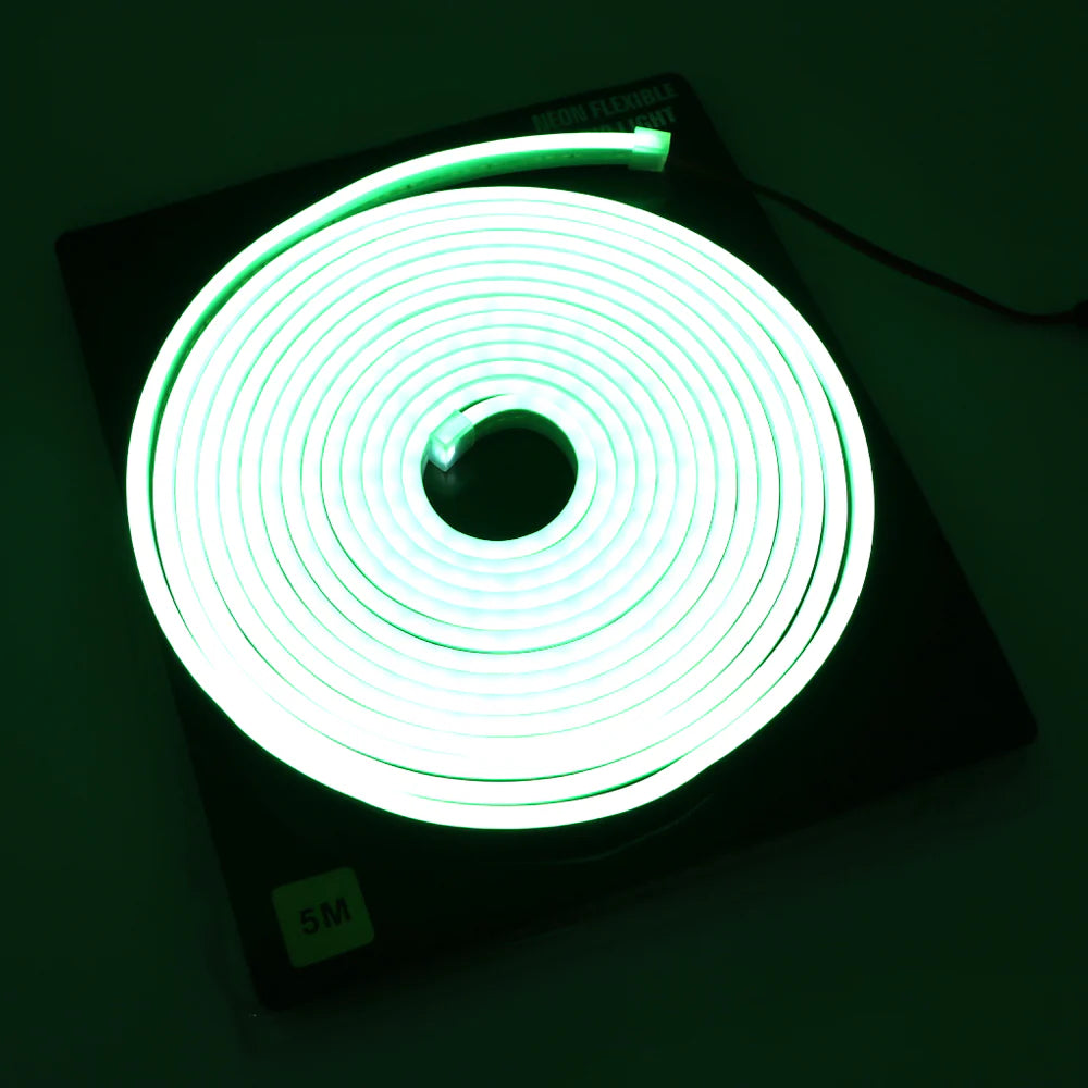 12V 5M Neon Flexible LED Strip Light