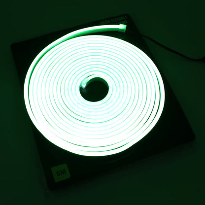 12V 5M Neon Flexible LED Strip Light