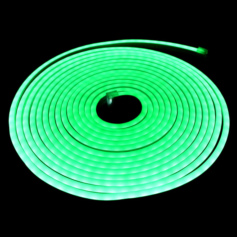 12V 5M Neon Flexible LED Strip Light