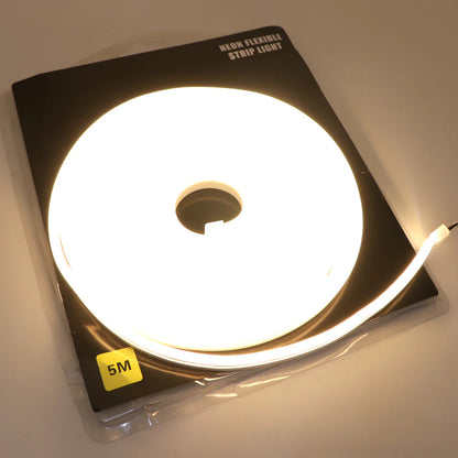 12V 5M Neon Flexible LED Strip Light