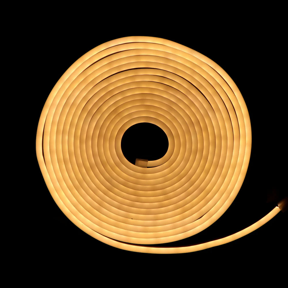 12V 5M Neon Flexible LED Strip Light